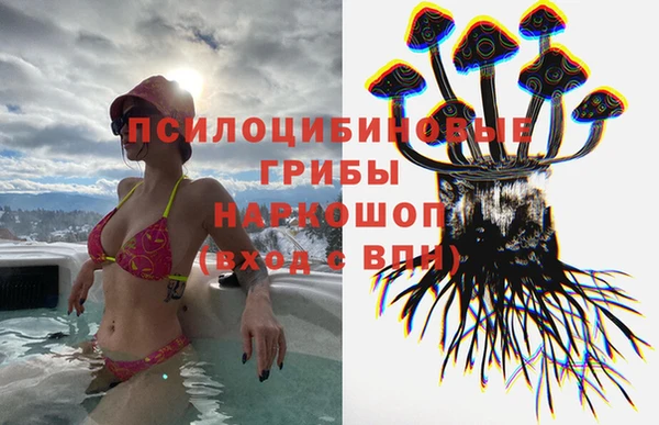 spice Бугульма