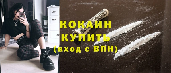 амф Бородино
