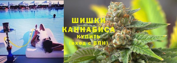 амф Бородино