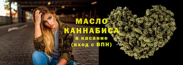амф Бородино