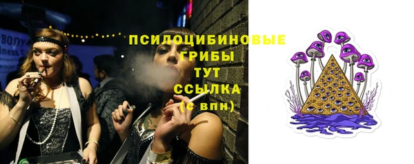 spice Бугульма